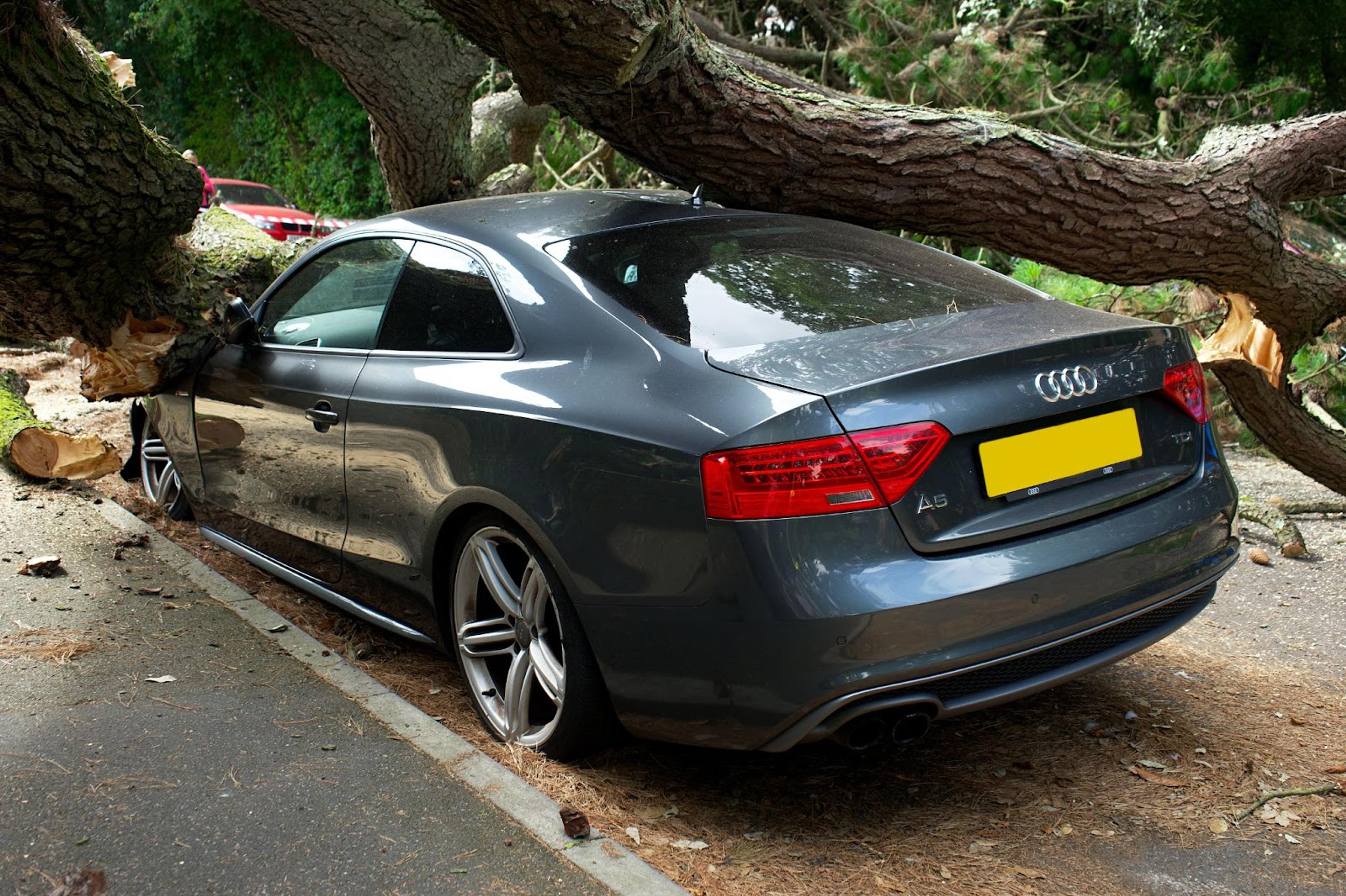 Un Audi coupé se estrelló contra un árbol como consecuencia de un desastre natural